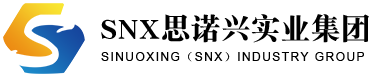SNX INDUSTRY GROUP