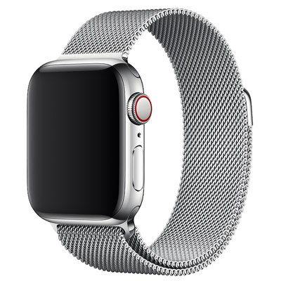 Apple Watch - stainless steel series